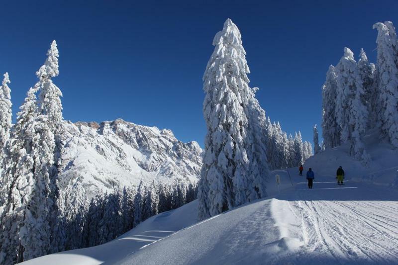 Am Berg 34 Lägenhet Maria Alm am Steinernen Meer Exteriör bild